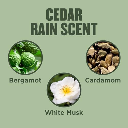 Gold Bond Hand Cream, Cedar Rain Refreshing Hand Cream with Aloe Vera to Refresh Skin and Vitamin E to Help Soothe the Skin, Comforting Cedar Rain Scent, 12 Ounce (Pack of 6) - Image 4