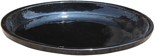 2 Pack Black Ceramic 8 Inch Round Saucer, Plant Tray for Indoor Pots, Flower Plant Saucers, Dishes for Plants, Deep Plant Water Tray, Bird Bath Bowl, Holding Water Drips & Soil, Ceramic Drainage Tray
