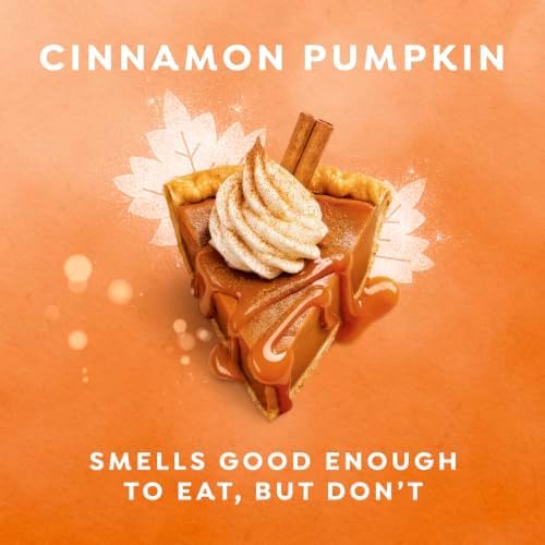 Dove Limited Edition Holiday Treats Body Wash Cinnamon Pumpkin Pie 20 oz - Image 2