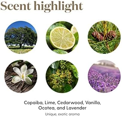 Young Living Stress Away Essential Oil Blend 5ml – Aromatic Oil with Lavender & Cedarwood | Aromatherapy for Relaxation, Diffusers & Home Wellness
