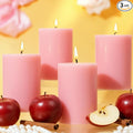4 Pack Apple Cinnamon Scented Pillar Candles,Natural Soy Wax Candles-2.8x4In,Smokeless & Non-Toxic,60H Long Lasting Burning Fragrance Candles for Home,Mother’s Day Gifts,Spa Relaxation