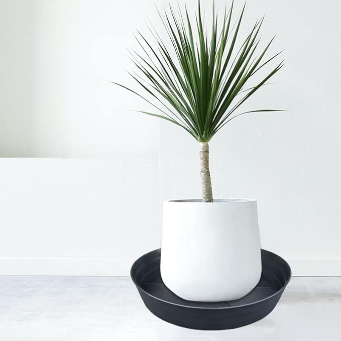 LWALRS Plant Saucer 18 Inch, Extra Large Planter Saucer 4 Pack, Plastic Plant Saucers for Indoors and Outdoors, Plant Pot Saucers, Drainage Tray for 16, 17, 18 in Planters