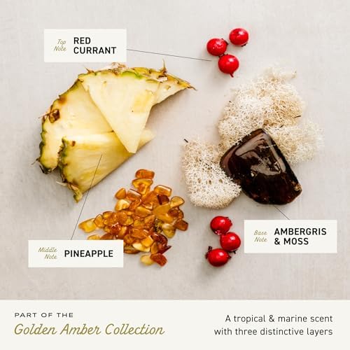 Cremo Body Wash for Men, Rich-Lathering Golden Amber, 16 Fl Oz (Pack of 12) - Image 6