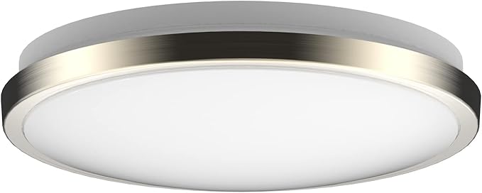 DYMOND LED Ceiling Light Flush Mount 10 Inches Ceiling Light Fixture Dimmable for Bathroom, Kitchen, Laundry Room (4000K Natural Daylight, 10 inches)