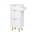 OmySalon Salon Stations for Hair Stylist, Barber Station with Glass Top & Drawers & Hot Tool Holder, Salon Storage Cabinet Hair Organizer Equipment for Beauty Spa, White