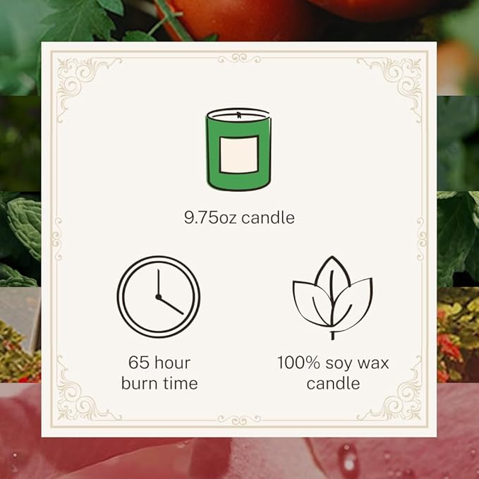 Hotel Lobby Hamptons Candle Luxury Hand-Poured 9.75oz Soy Wax with Green Tomato, Basil, Mint, Geranium, Rosewater Paraffin-Free Infused with Essential Oils 65-Hour Clean Non-Toxic Burn