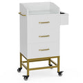 Paddie Beauty Salon Storage Trolley Cart, Glass Top Hair Station Cabinet with Dryer Holder, Lockable Rolling Wheels, Drawer - White