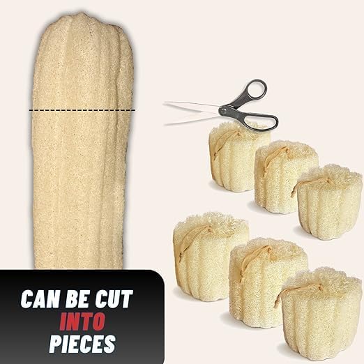 Whole Egyptian Loofah Around 22" 100% Natural Organic Loofah Exfoliating Scrubber for Shower, Natural Loofah Sponge Body Scrubber, for Men and Women
