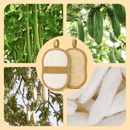 Exfoliating Body Scrubber (2 Pack), Body Scrubber Exfoliator, Exfoliating Sponge for Shower Bath, Shower Loofah Luffa Lufa with Handle for Men Women, Dead Skin Exfoliator for Body Scrub - Image 6