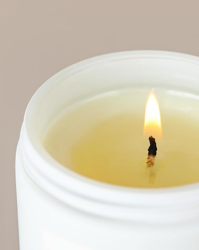 AOOVOO Candle - 9oz Soy Wax Scented Candles, I Wish You Lived Next Door Candles Gifts, Christams Birthday Gifts for Women Men, Mom, Coworkers, Nurse, Clients - Employee, Teacher