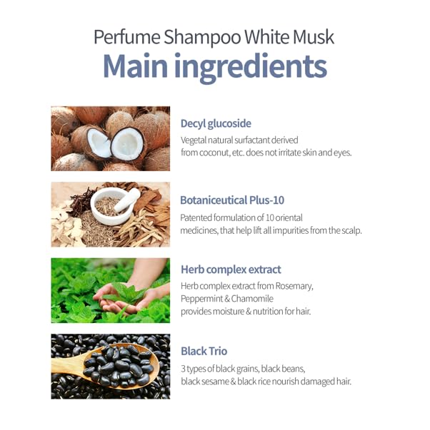 Milk Baobab Hydrating Shampoo, Nourishing Korean Hair Care, Long-Lasting White Musk Fragrance, Hydrolyzed Keratin, Paraben-Free, 16.9 fl oz
