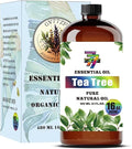 Tea Tree Essential Oil - GV77ZF Tea Tree Oils for Diffusers, Humidifiers, DIY Candles, Soap, Cleaning, Home, Office, Yoga, Massage, Gifts - 16 fl oz (480 ml)