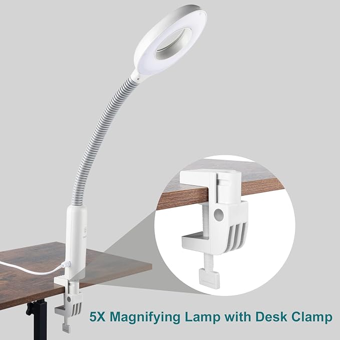 2 in 1 Professional Facial Steamer with 5X Magnification Lamp, Beautician Steamer Facial Spa, Hot Ionic Mist Face Steamer for Home Beauty Salon, Personal Skin Care Deep Cleaning, White