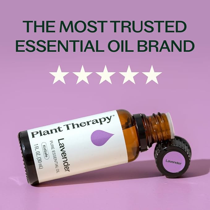 Plant Therapy Lavender Essential Oil 100% Pure, Undiluted, Natural Aromatherapy, Therapeutic Grade 30 mL (1 oz) (Pack of 2)