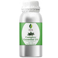 SVA Camphor Essential Oil – 16 Fl Oz – 100% Natural Camphor Oil - for Diffuser, Hair Care, Face, Skin Care, Aromatherapy, Scalp and Body Massage, Soap and Candle Making
