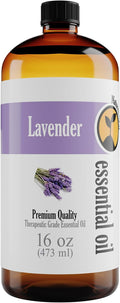 Natures-Star Lavender Essential Oil, 16 Ounce, Therapeutic Grade for Aromatherapy, Candle & Soap Making, Diffusers & Home, Lavender Oil
