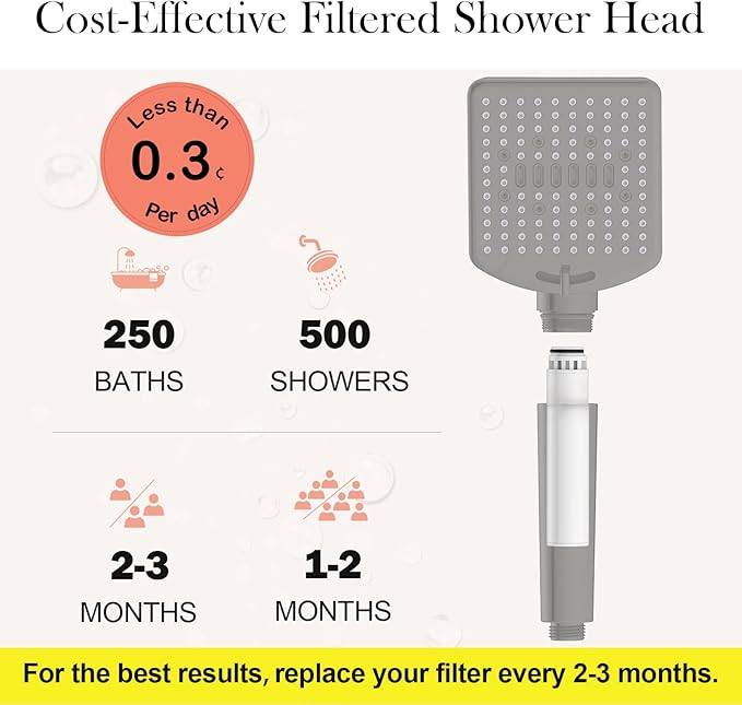 Homlord Filtered Shower Head with Handheld Matte Black - High Pressure 6 Modes, 120 Anti-clog Nozzles, Detachable Showerhead with Hard Water Filters, Extra Long 6ft Hose, Power Wash Mode for Bathroom
