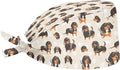 JoyLamoria Novelty Printed Cap with Sweatband Women Men Adjustable Tie Back Hats for Paiting