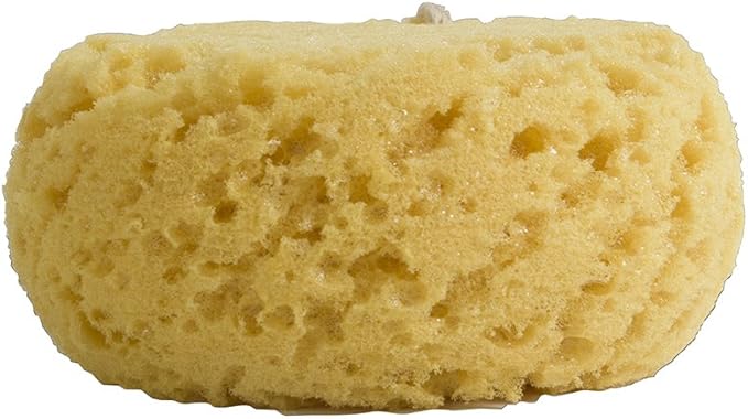 PARADISO Evriholder Sea Foam Body Sponge for Scrubbing and Exfoliating, Set of 2, Large Srubbing Loofah for A Relaxing Shower or Bath