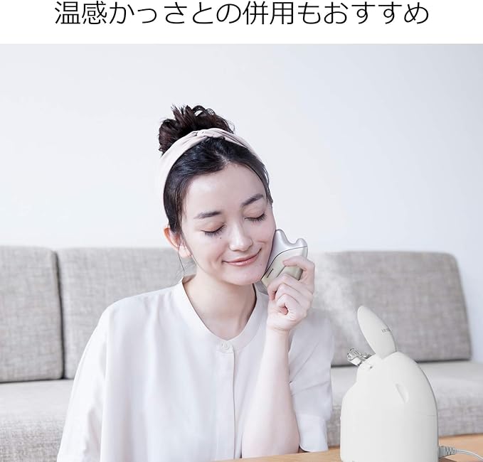 Panasonic Nanocare EH-SA3B-N Steamer Compact Gold