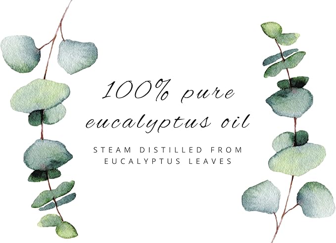2 Bottles – GreenHealth Eucalyptus Essential Oil – 16 fl oz Each (32 fl oz Total) – 100% Pure & Uncut – Bulk Aromatherapy Oil in Aluminum Bottles – for Diffuser, Cleaning, DIY, Home Fragrance
