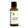 Plant Therapy Eucalyptus Globulus Essential Oil, 30 mL (1 oz), for Diffuser, Skin, Hair, Aromatherapy DIYs, and Clear Breathing, 100% Pure and Undiluted Essential Oil