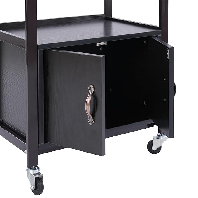 Salon Cart,Salon Storage Cart with Drawers, 4 Wheels and Handles, Movable Beauty Organizer, Salon Trolley for Beauty Salons, Barber Shops, Nail Salons, Spas (Black)