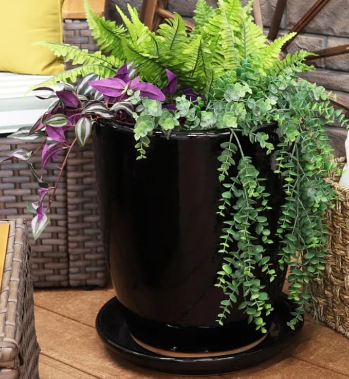 2 Pack Black Ceramic 8 Inch Round Saucer, Plant Tray for Indoor Pots, Flower Plant Saucers, Dishes for Plants, Deep Plant Water Tray, Bird Bath Bowl, Holding Water Drips & Soil, Ceramic Drainage Tray