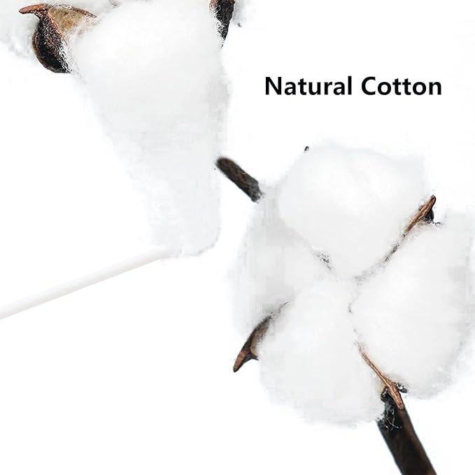 Pointed Tip Cotton Swabs,1000 count Cotton Buds,Double Precision Tips with Paper Stick for Personal Care and Makeup