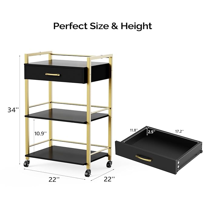 Salon Trolley Cart with Wheels, Esthetician Cart with 1 Drawer & 2 Trays, Mobile Storage Organizer for Beauty Spa Massage Tattoo Esthetic Facial Tool Holder Station, Black Gold