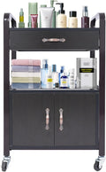 Salon Cart,Salon Storage Cart with Drawers, 4 Wheels and Handles, Movable Beauty Organizer, Salon Trolley for Beauty Salons, Barber Shops, Nail Salons, Spas (Brown)