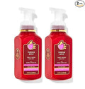 Bath & Body Works Bath and Body Works Pumpkin Apple Gentle Foaming Hand Soap 8.75 Ounce 2-Pack (Pumpkin Apple) 17.5 fluid_ounces, 17.5 Fl Oz