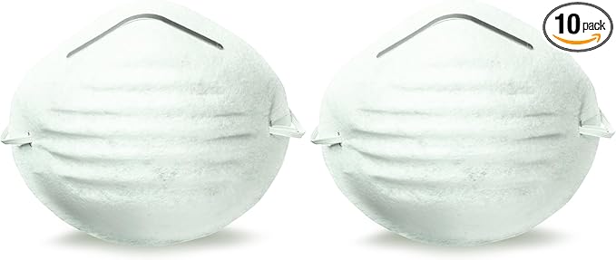 Honeywell Retail Retail Nuisance Disposable Dust Mask, 10-Pack (RWS-54000), White