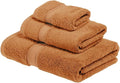 SUPERIOR Egyptian Cotton Pile 3 Piece Towel Set, Includes 1 Bath, 1 Hand, 1 Face Towel/Washcloth, Ultra Soft Luxury Towels, Thick Plush Essentials, Guest Bath, Spa, Hotel Bathroom, Rust