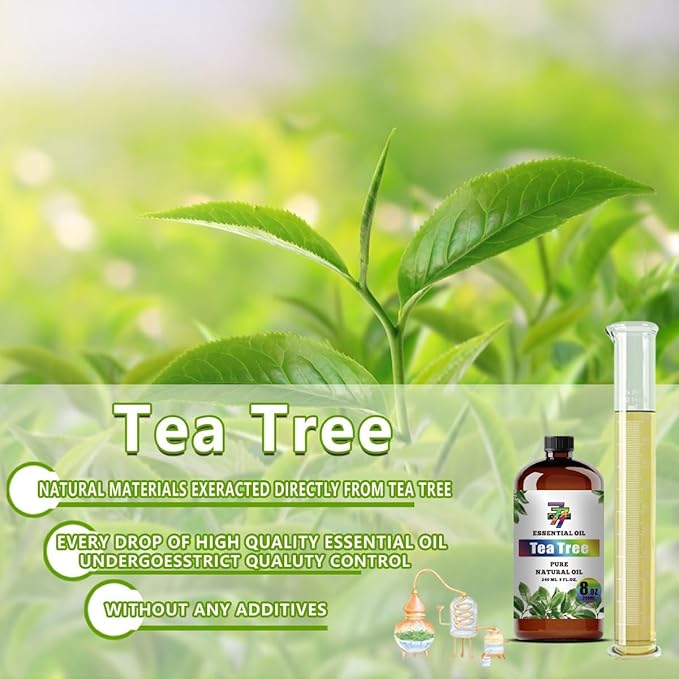 Tea Tree Essential Oil - GV77ZF Tea Tree Oils for Diffusers, Humidifiers, DIY Candles, Soap, Cleaning, Home, Office, Yoga, Massage, Gifts - 8 fl oz (240 ml)