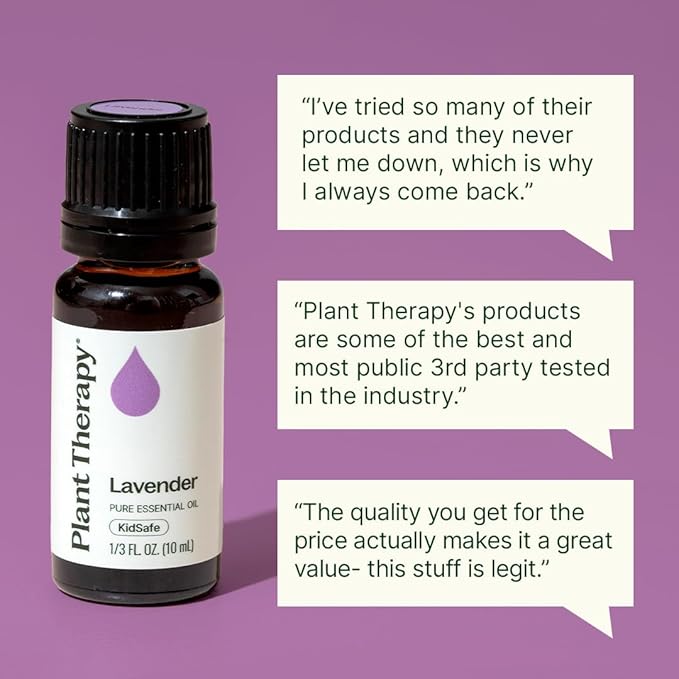 Plant Therapy Lavender Essential Oil 100% Pure, Undiluted, Natural Aromatherapy, Therapeutic Grade 30 mL (1 oz) (Pack of 2)
