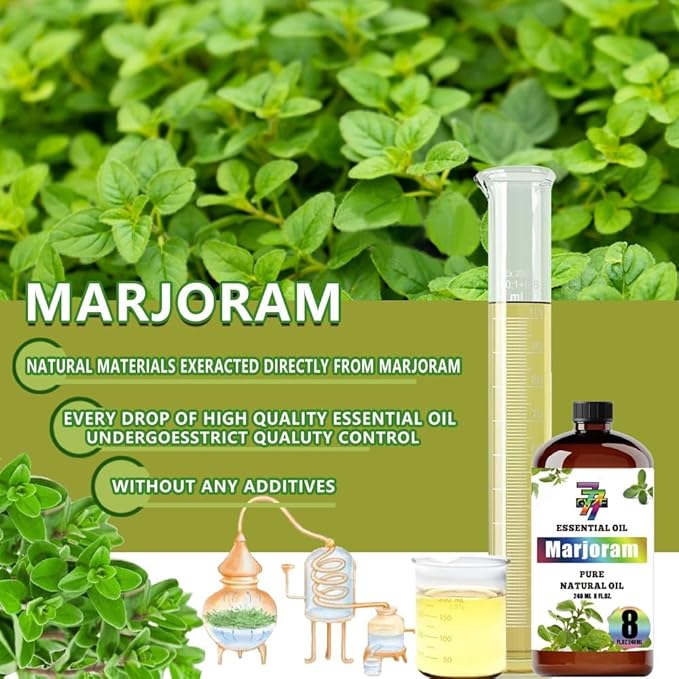 Marjoram Essential Oil - GV77ZF Marjoram Oils for Diffusers, Humidifiers, DIY Candles, Soap, Cleaning, Home, Office, Yoga, Massage, Gifts - 8 fl oz (240 ml)