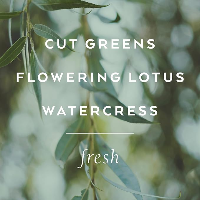 Library of Flowers Willow & Water Bubble Bath, Cut Greens, Flowering Lotus & Watercress Storied Fragrance, 17 fl. oz. Luxury Hydrating Bubbling Soap, Richly Scented Bath and Body Product