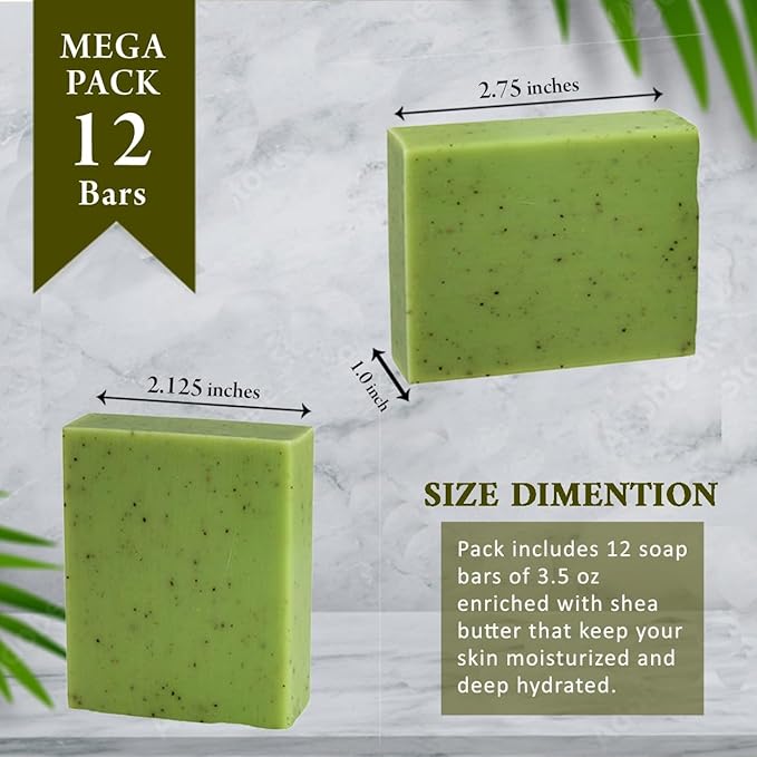Simple Scents Australia Eucalyptus Scented Natural Soap Bars (5 Bars), 3.5oz Moisturizing French Triple Milled Soap Bars Enriched with Shea Butter - Pure Plant Oil Bath & Body