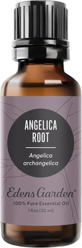 Edens Garden Angelica Root Essential Oil- 100% Pure Premium Grade, Undiluted, Natural, Therapeutic, Aromatherapy, The Best for Diffuser, Candle, Laundry, Kid Safe 30 ml (1 fl oz)