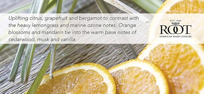 Root Candles Scented Candles Honeycomb Beeswax Blend Premium Handcrafted Candle, Small Veriglass, Tangerine Lemongrass
