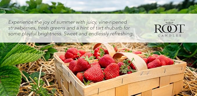 Root Candles Scented Candles Honeycomb Beeswax Blend Premium Handcrafted Candle, 12-Ounce 3-Wick, Strawberry Fields