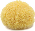 Neptune Caribbean Sea Sponge, Medium (Approx. 5-6 Inch), Hand Processed, Natural & Eco-Friendly Bath Sponge