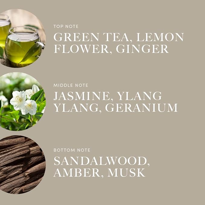 Aroma360 - All of Me Pro Pod Fragrance Oil Blend | Hotel Inspired Luxury Essential Oil Diffuser | Aromatherapy Scent Diffuser Oil | Green Tea, Lemon Flower and Jasmine 1.7 fl oz, 50 mL