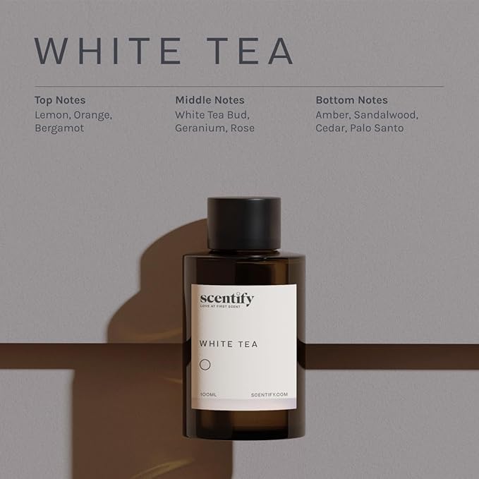 Scentify White Tea Aroma Oil Refill for Diffusers – Citrus, White Tea & Soft Florals, Amber Woods & Palo Santo – Luxury Aromatherapy Fragrance – 100ml / 3.38oz – New Version