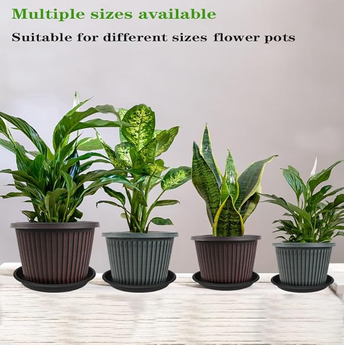 6 Pack Plant Saucer Plant Tray, 4 6 8 10 12 13 15 17 19 inch Plant Trays for Pots, Heavy Duty Plant Trays for Indoors no Holes, Plastic Plant Saucer for Planter, Bird Bath Bowls (6", Black)