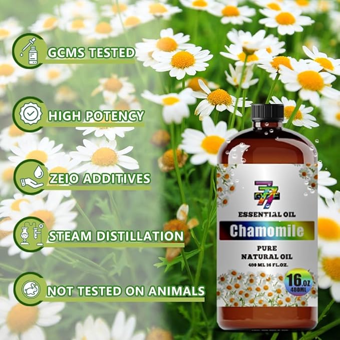 Chamomile Essential Oil - GV77ZF Chamomile Oils for Diffusers, Humidifiers, DIY Candles, Soap, Cleaning, Home, Office, Yoga, Massage, Gifts - 16 fl oz (480 ml)