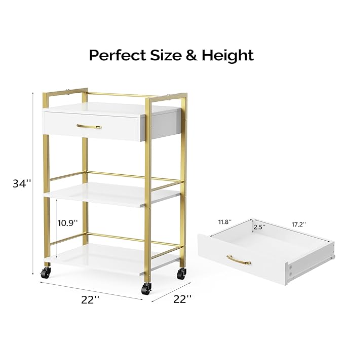 OmySalon Salon Trolley Cart with Wheels, Esthetician Cart with 1 Drawer & 2 Trays, Mobile Storage Organizer for Beauty Spa Massage Tattoo Esthetic Facial Tool Holder Station, White Gold