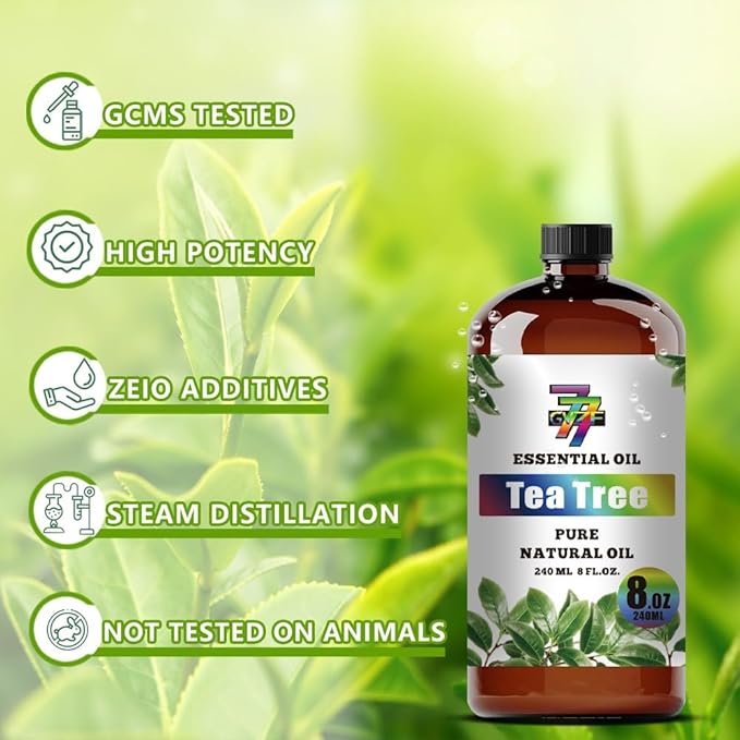 Tea Tree Essential Oil - GV77ZF Tea Tree Oils for Diffusers, Humidifiers, DIY Candles, Soap, Cleaning, Home, Office, Yoga, Massage, Gifts - 8 fl oz (240 ml)
