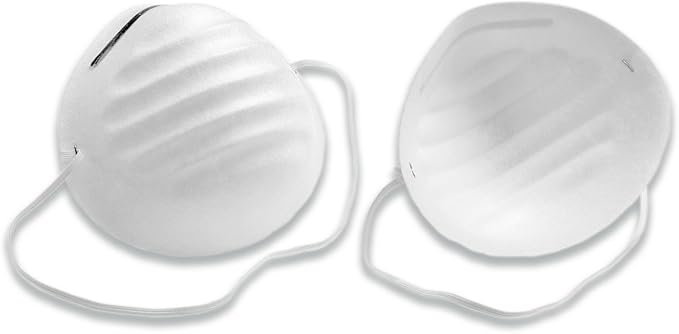 Honeywell Retail Retail Nuisance Disposable Dust Mask, 10-Pack (RWS-54000), White